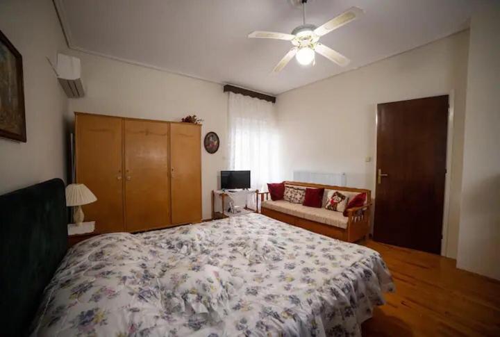 Loft House Trikala Apartman Kültér fotó